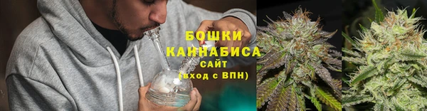 мдпв Осташков