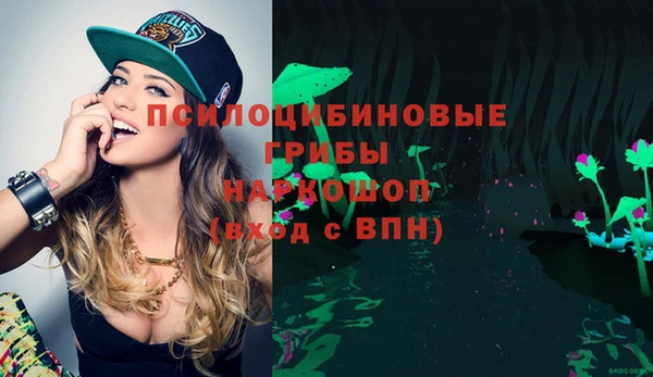 бутират Пересвет