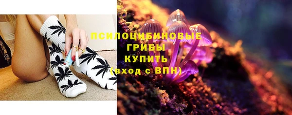 гидропоника Осинники