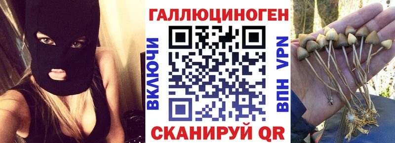 Галлюциногенные грибы GOLDEN TEACHER  kraken как зайти  Порхов 